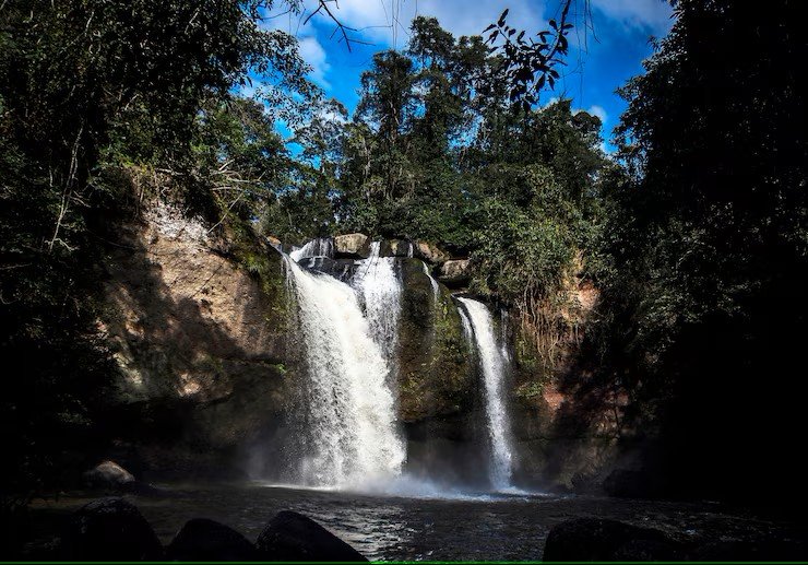 Falls close-up